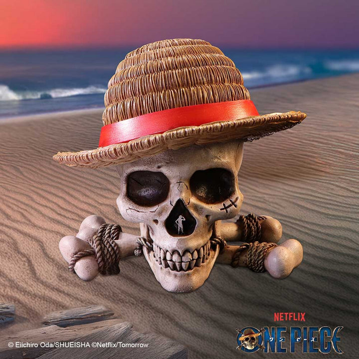 One Piece Luffy Jolly Roger Box B7185C25