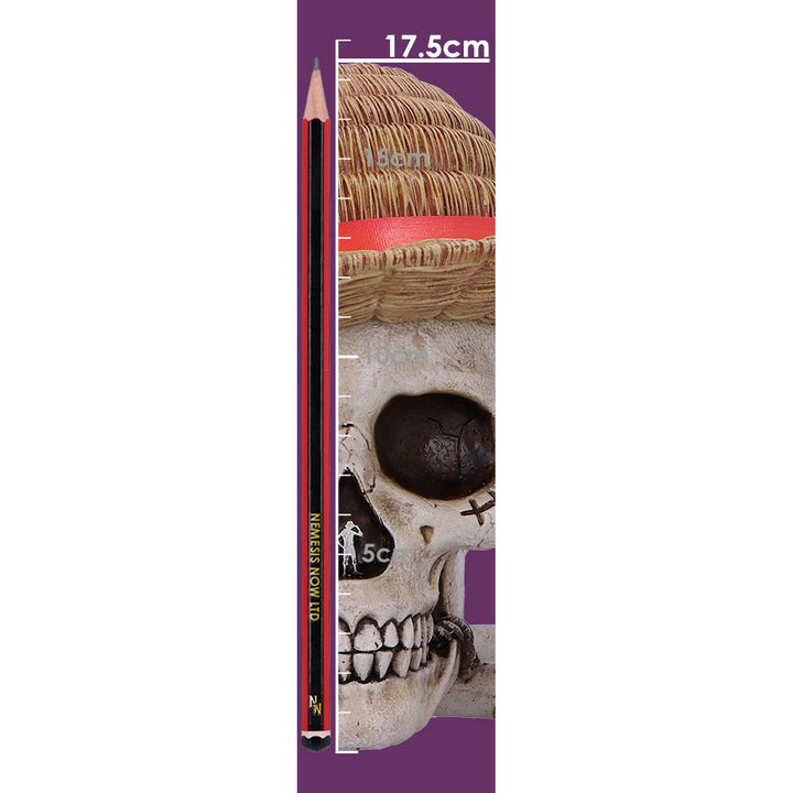 One Piece Luffy Jolly Roger Box B7185C25