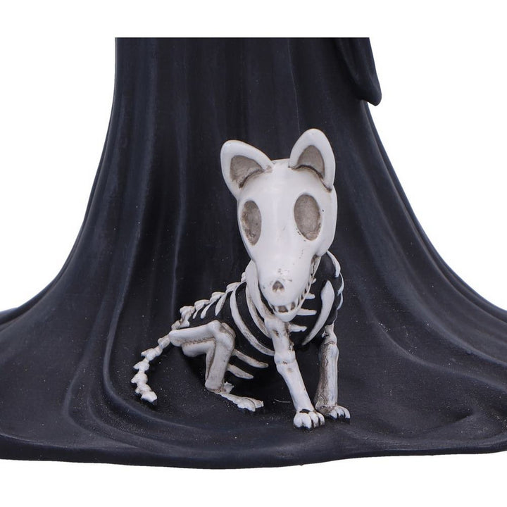Eternal Skeleton Companion Figurine 24cm B7195C25