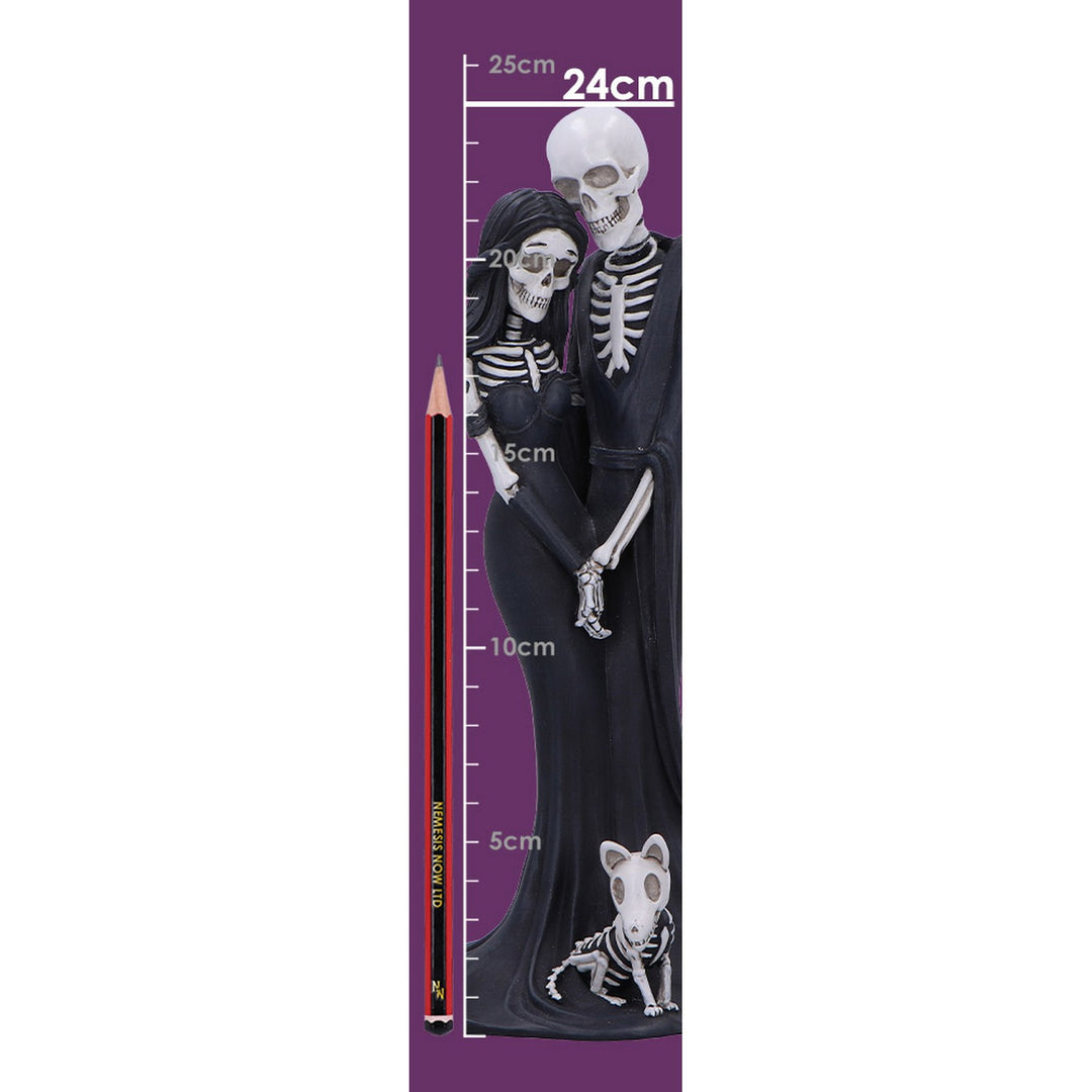 Eternal Skeleton Companion Figurine 24cm B7195C25