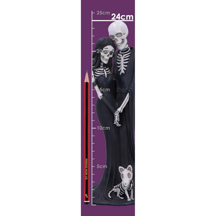 Eternal Skeleton Companion Figurine 24cm B7195C25
