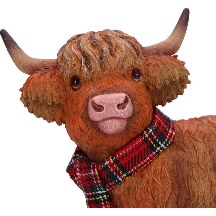 Highland Snug 11.5cm B7254C25