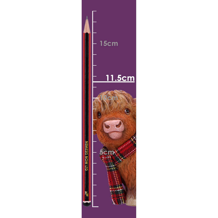 Highland Snug 11.5cm B7254C25