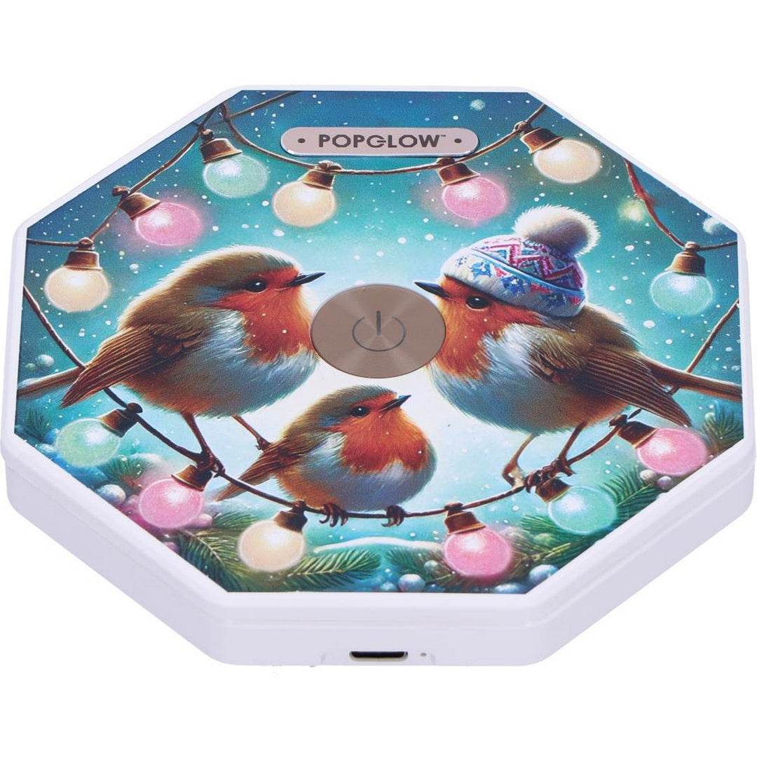 Winter Robins Foldable Lamp 21cm B7354C25