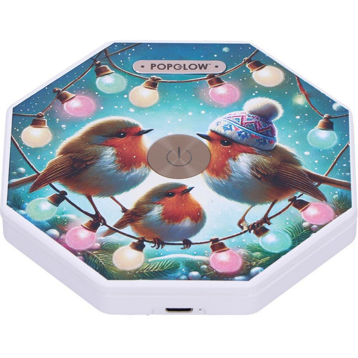 Winter Robins Foldable Lamp 21cm B7354C25