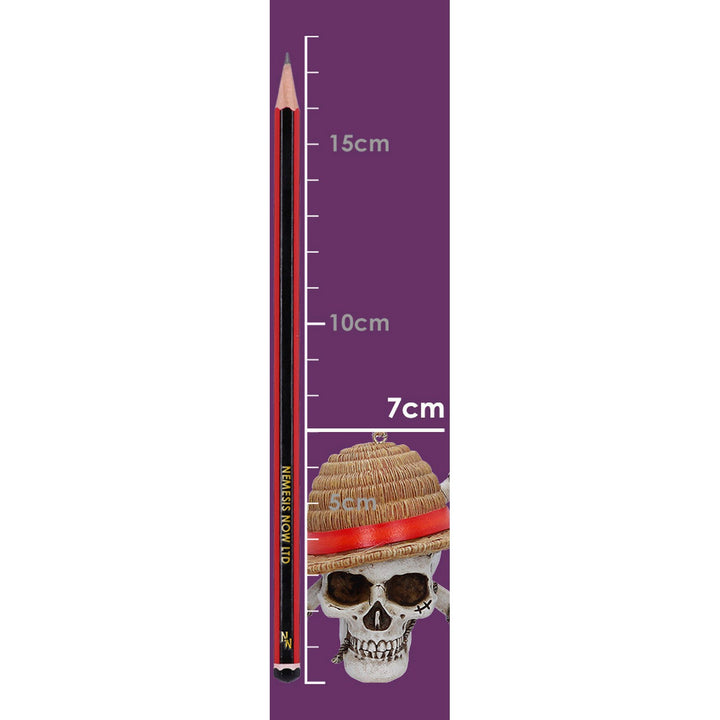 One Piece Luffy Jolly Roger Hanging Ornament 5cm B7358A26