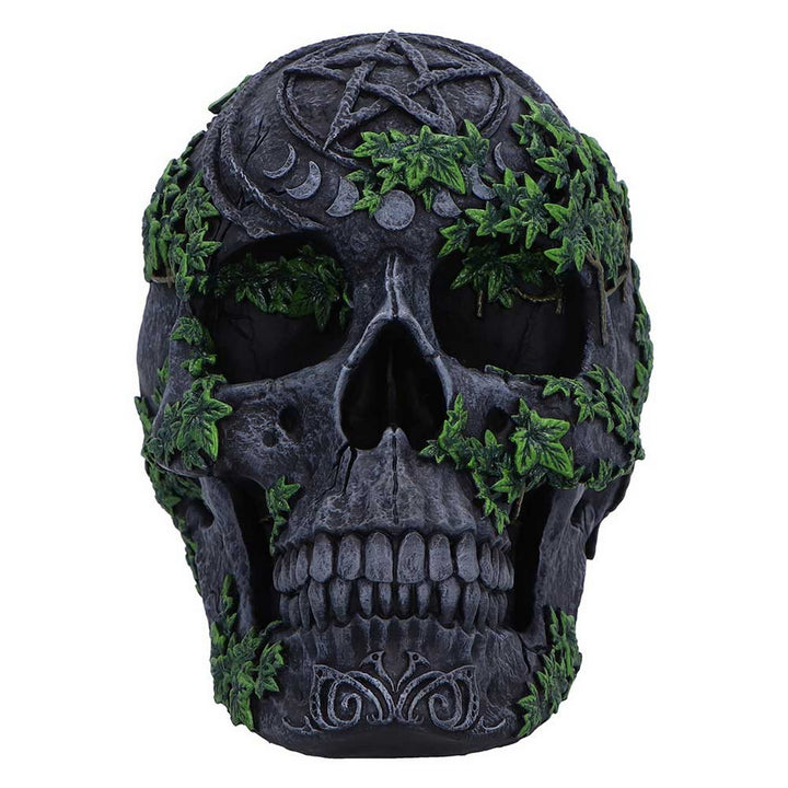 Aged Pentagram Skull Figurine B7366A26