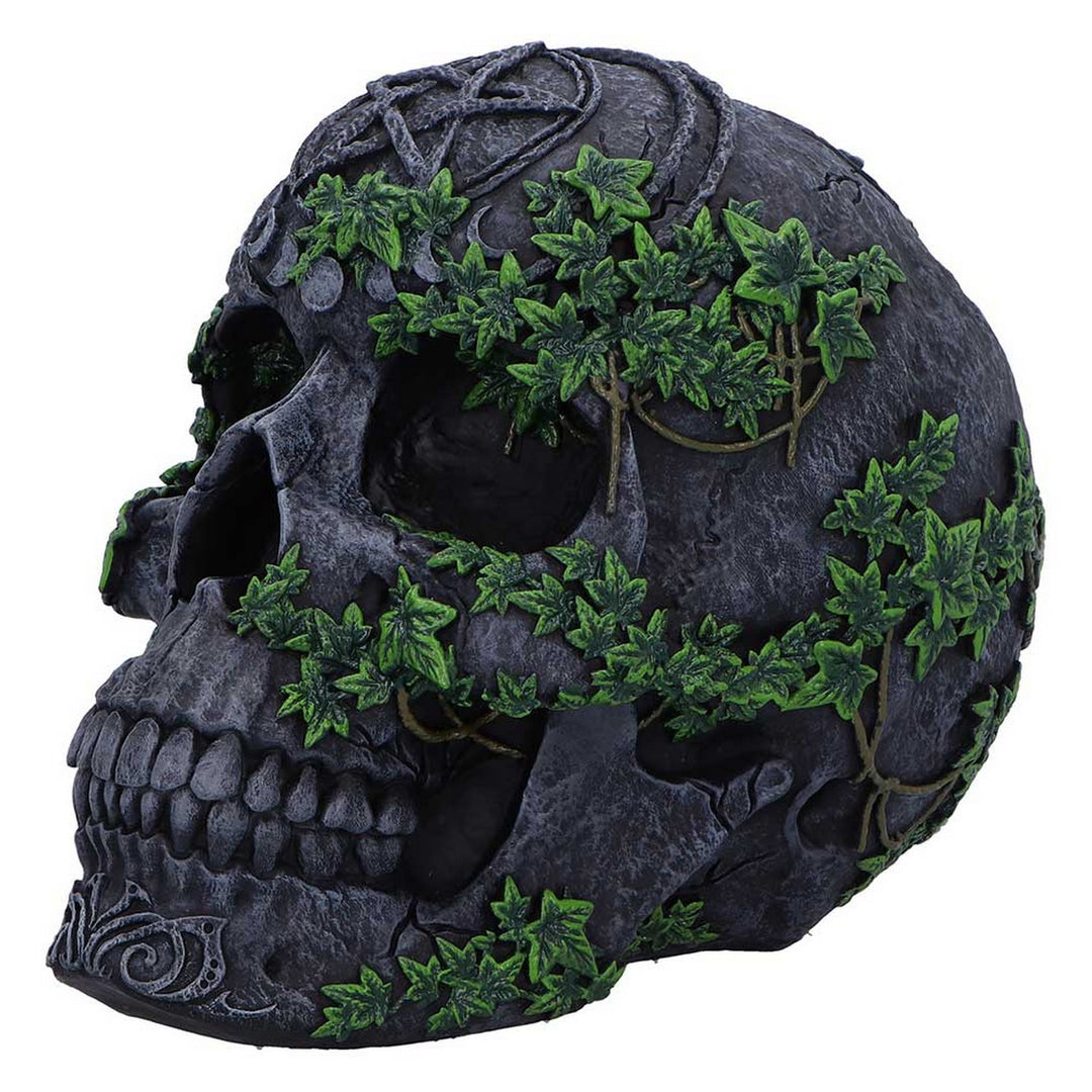Aged Pentagram Skull Figurine B7366A26