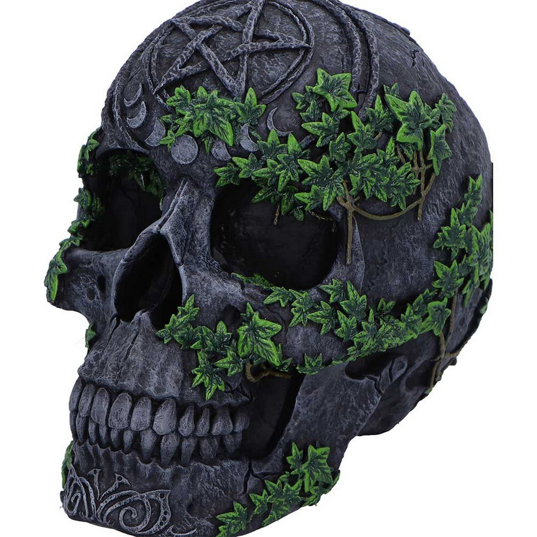 Aged Pentagram Skull Figurine B7366A26