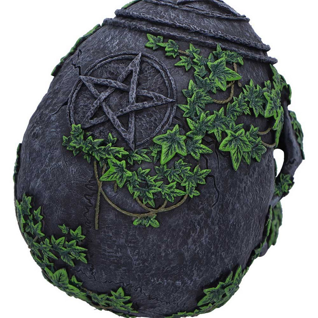 Aged Pentagram Skull Figurine B7366A26