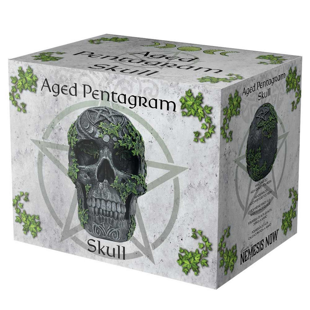 Aged Pentagram Skull Figurine B7366A26