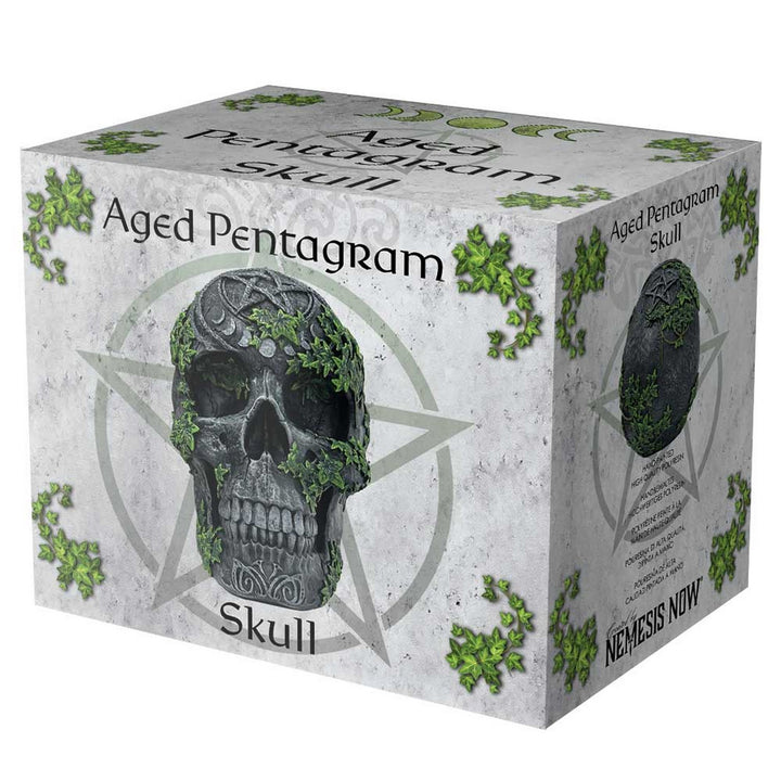 Aged Pentagram Skull Figurine B7366A26