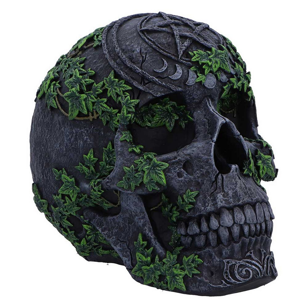 Aged Pentagram Skull Figurine B7366A26