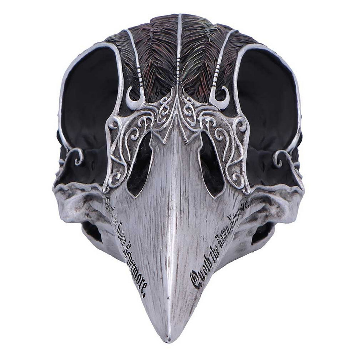 Quoth The Raven Skull Ornament 7.5cm B7367A26