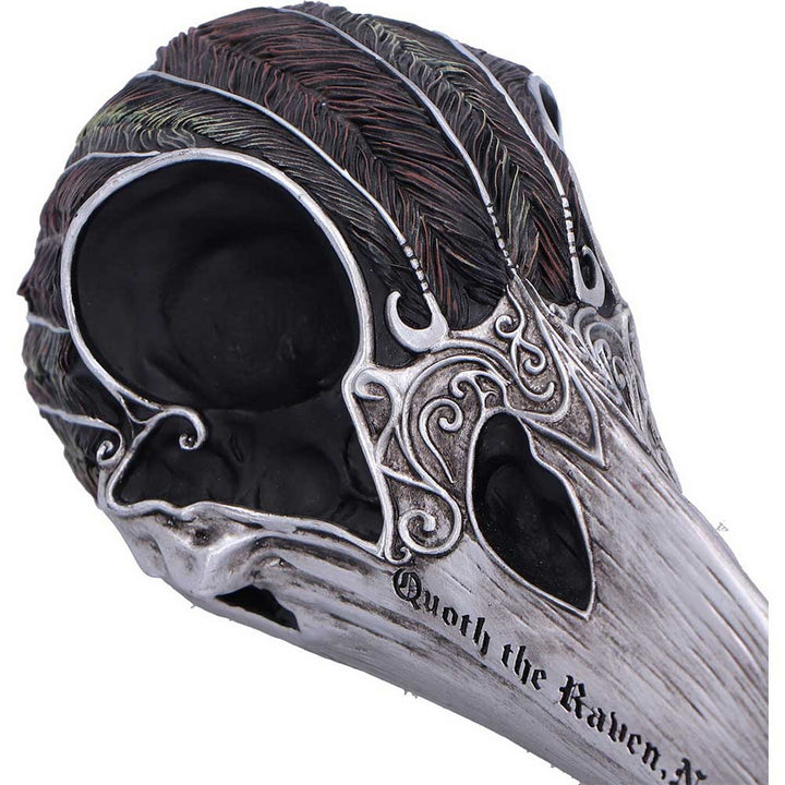 Quoth The Raven Skull Ornament 7.5cm B7367A26