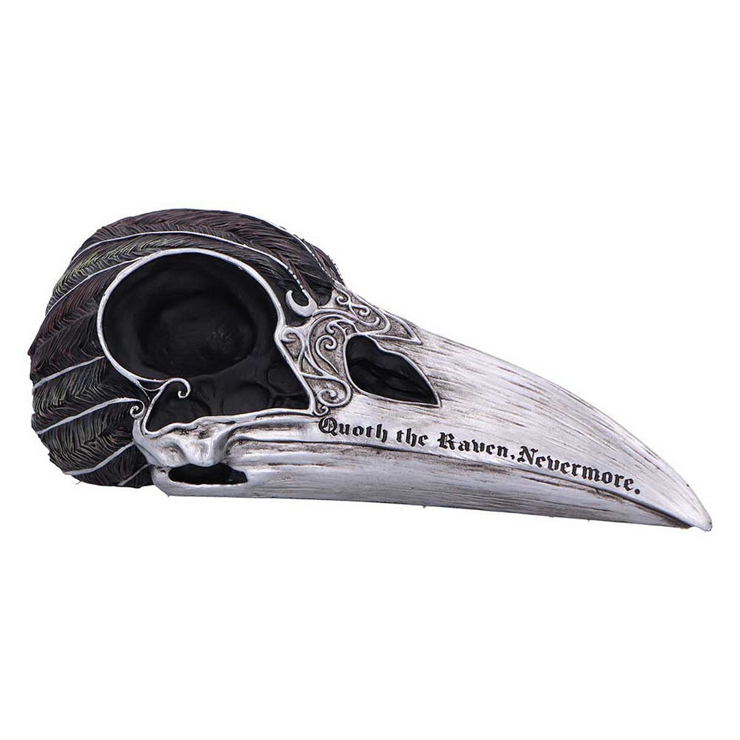 Quoth The Raven Skull Ornament 7.5cm B7367A26