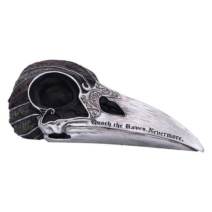 Quoth The Raven Skull Ornament 7.5cm B7367A26