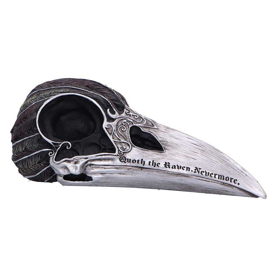 Quoth The Raven Skull Ornament 7.5cm B7367A26