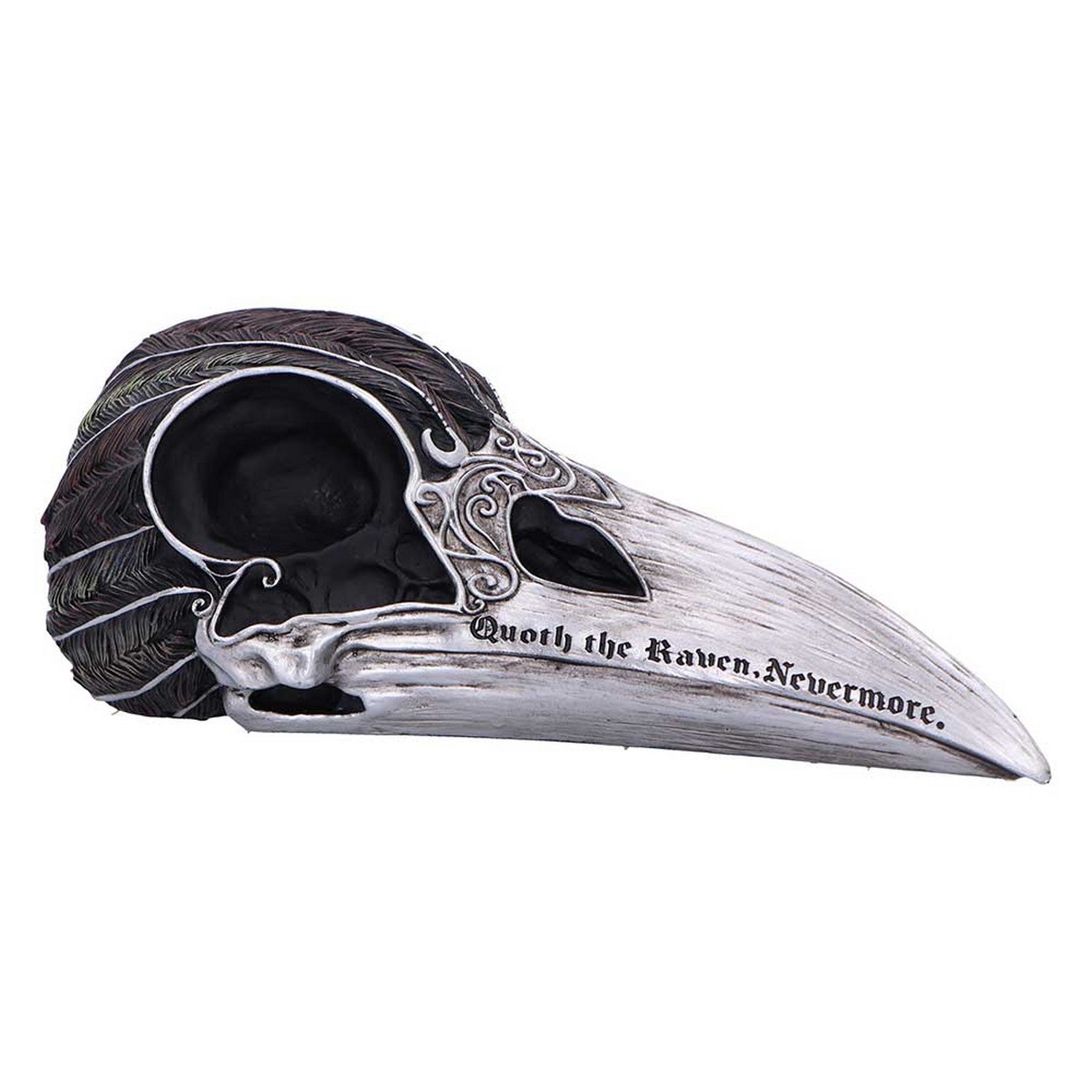 Quoth The Raven Skull Ornament 7.5cm B7367A26