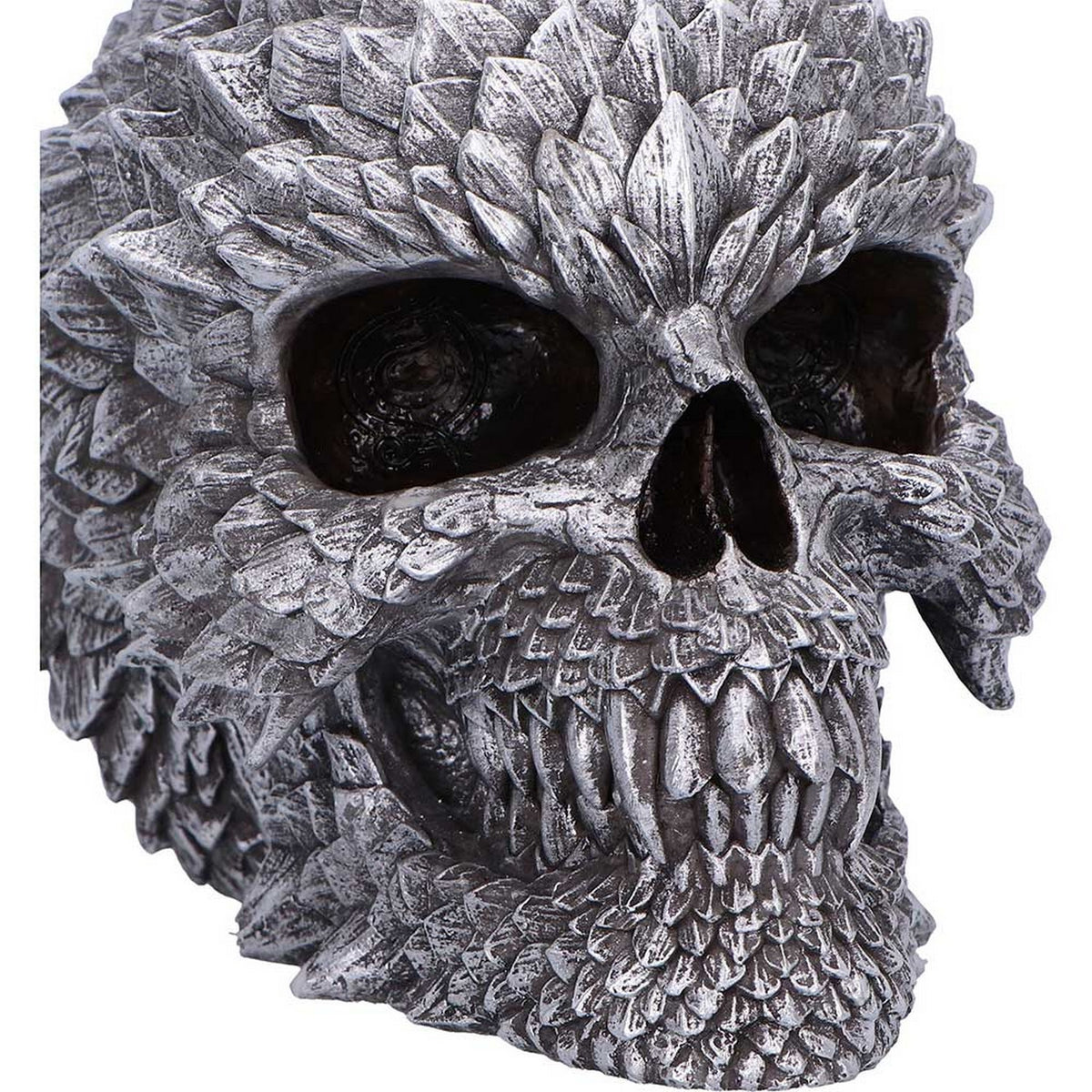 Scaled Remains Skull Figurine 15.4cm B7369A26