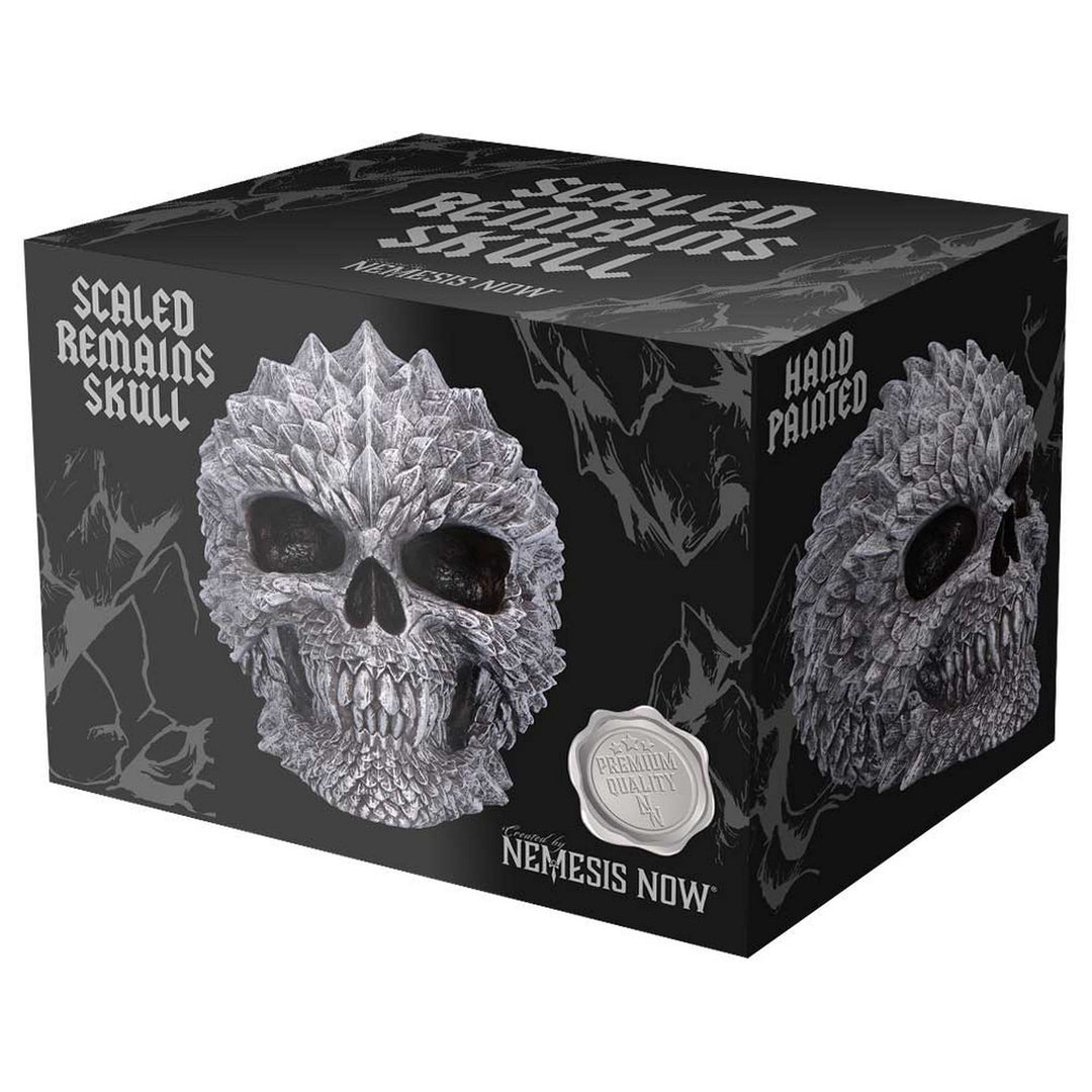 Scaled Remains Skull Figurine 15.4cm B7369A26