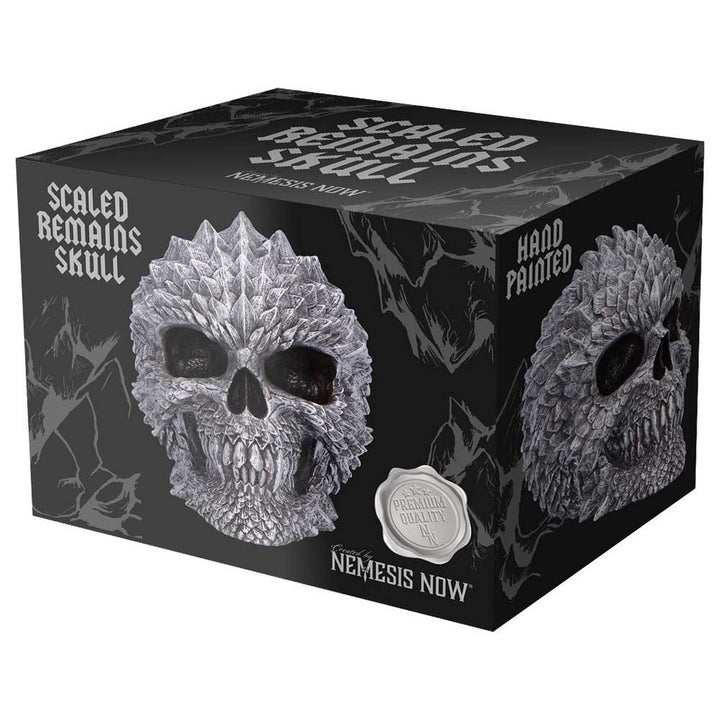 Scaled Remains Skull Figurine 15.4cm B7369A26