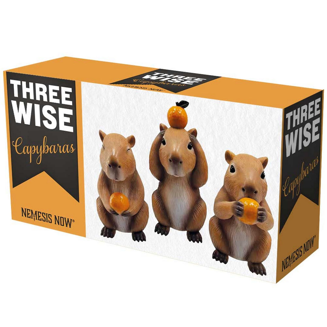 Three Wise Capybara 10.5cm B7448A26