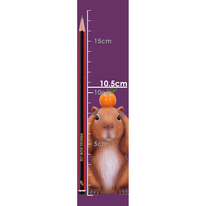 Three Wise Capybara 10.5cm B7448A26