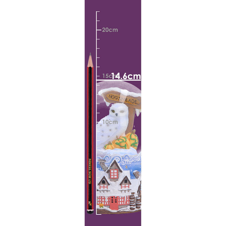 Harry Potter Hogsmeade Village Snow Globe 14.6cm B7518B26