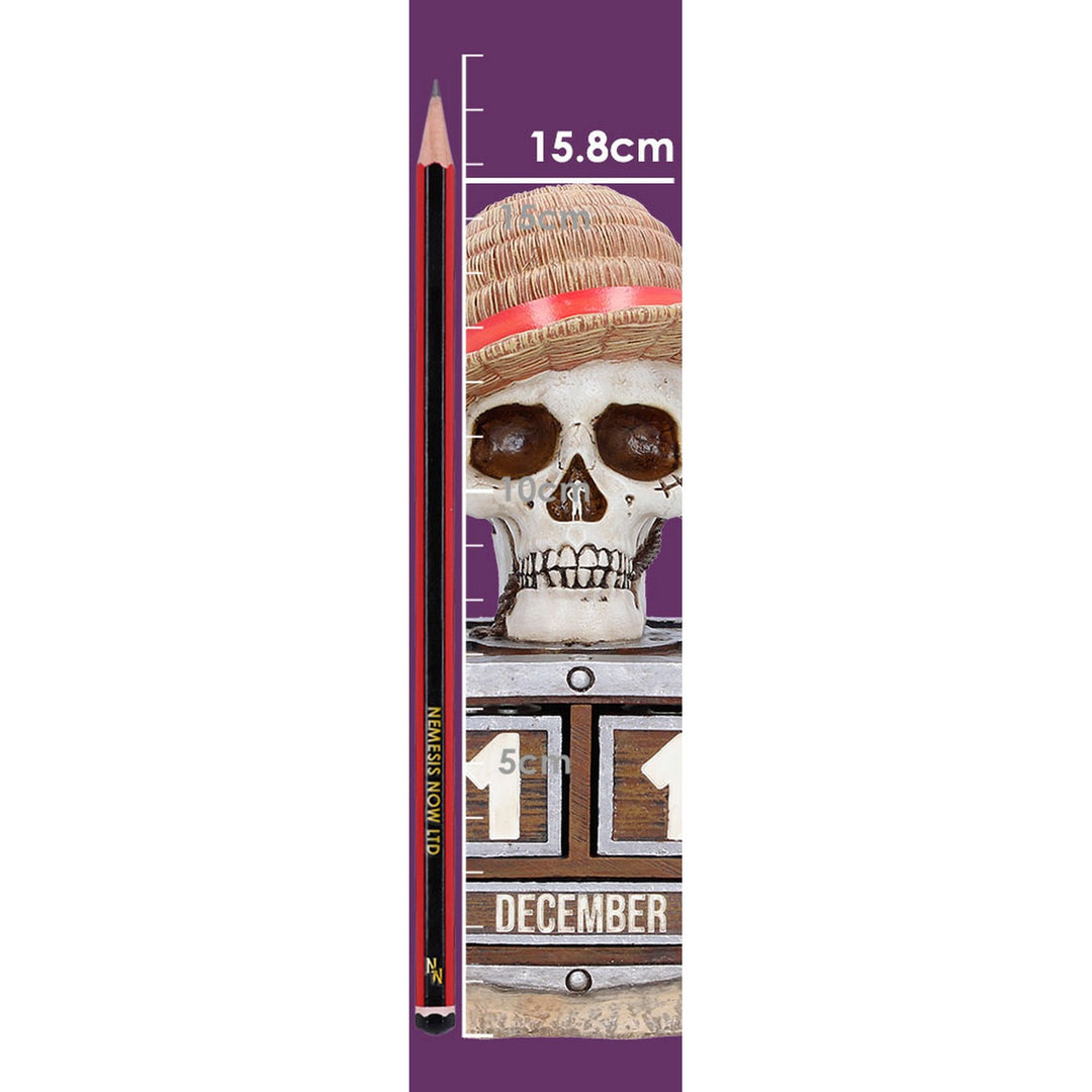 One Piece Luffy Jolly Roger Perpetual Calendar 15.8cm B7527B26
