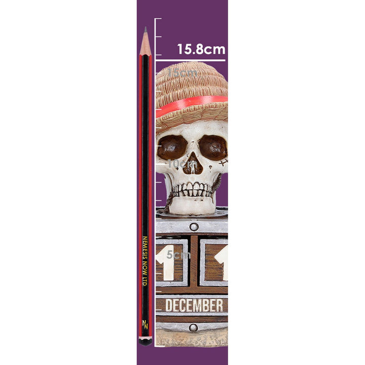 One Piece Luffy Jolly Roger Perpetual Calendar 15.8cm B7527B26