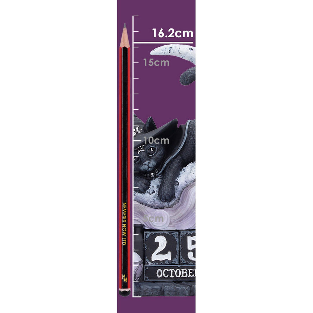 Cult Cuties Purrah Perpetual Calendar 16.2cm B7534B26