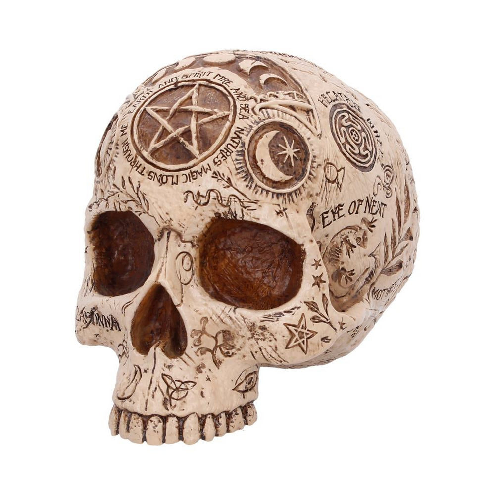 Apothecary Skull Figurine 14cm B7537B26
