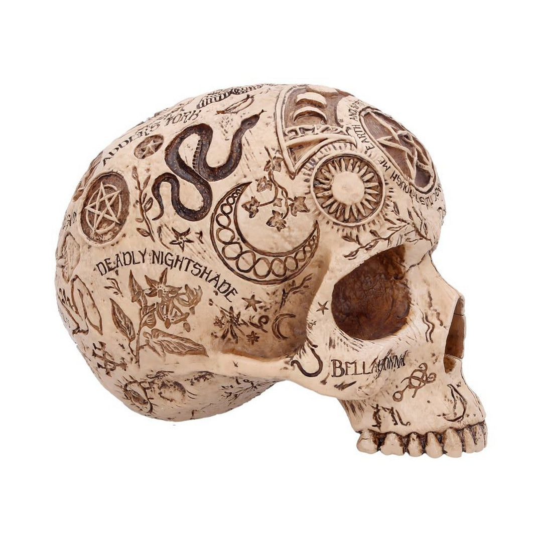 Apothecary Skull Figurine 14cm B7537B26