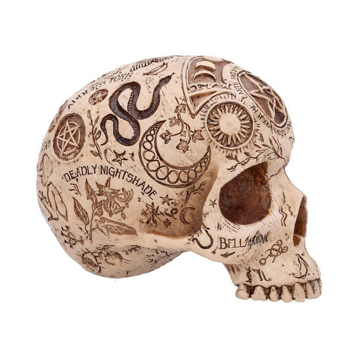 Apothecary Skull Figurine 14cm B7537B26
