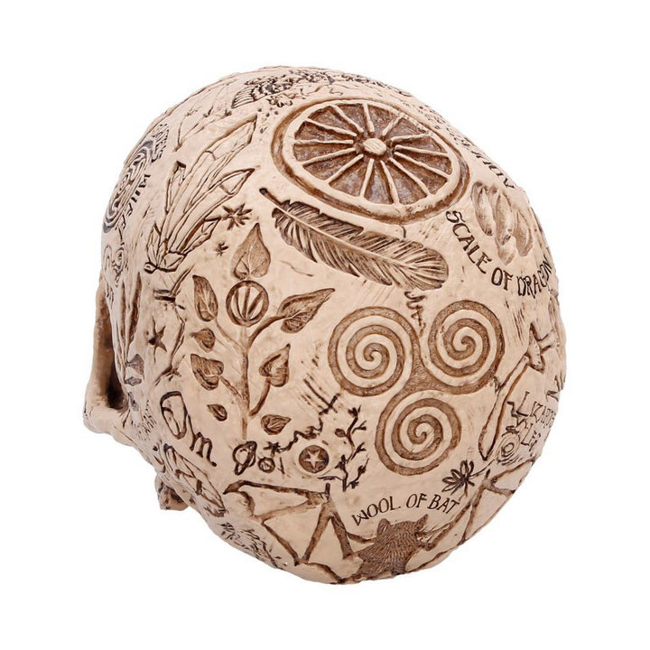 Apothecary Skull Figurine 14cm B7537B26