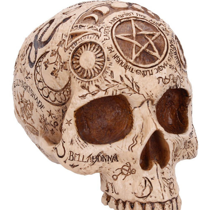 Apothecary Skull Figurine 14cm B7537B26