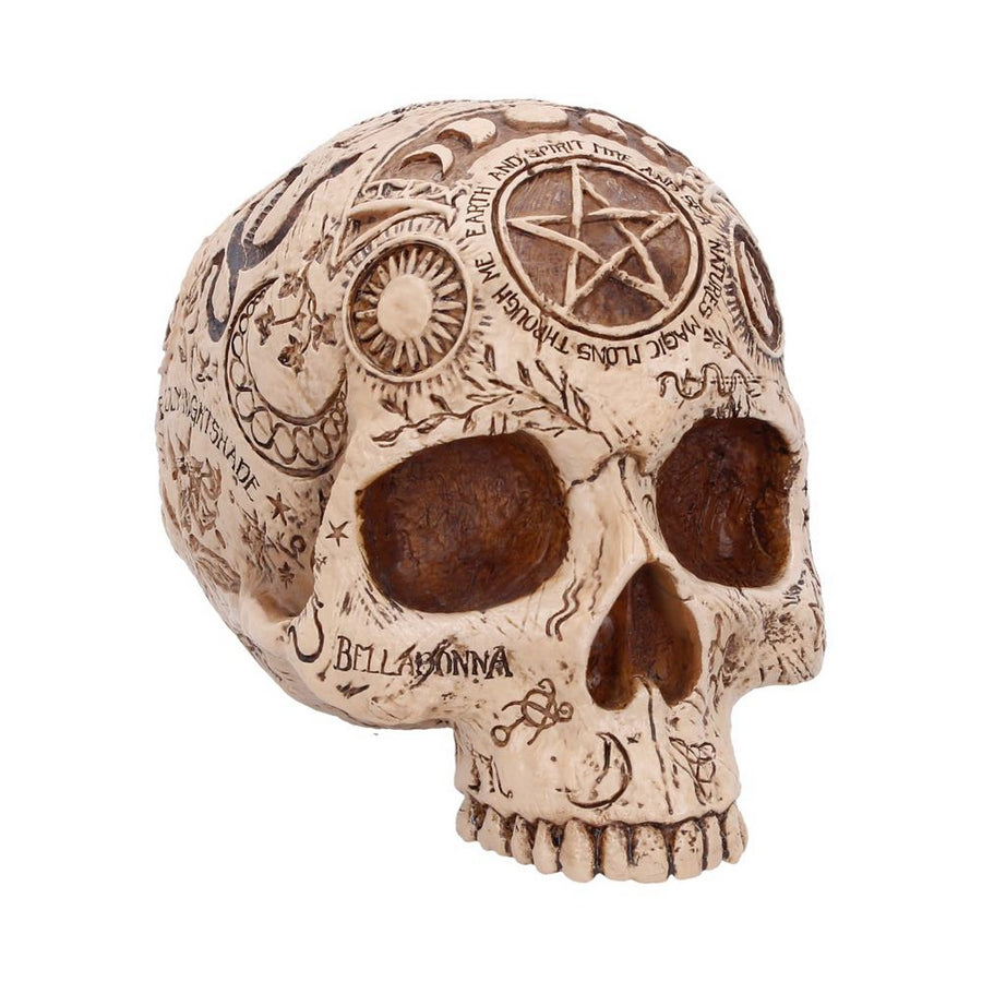 Apothecary Skull Figurine 14cm B7537B26