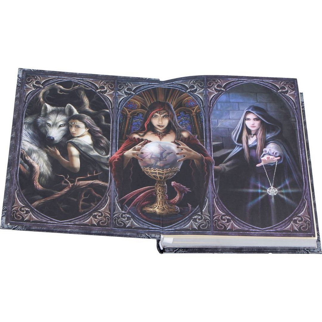 Anne Stokes The Book of Shadows Journal 17.7cm B7538B26