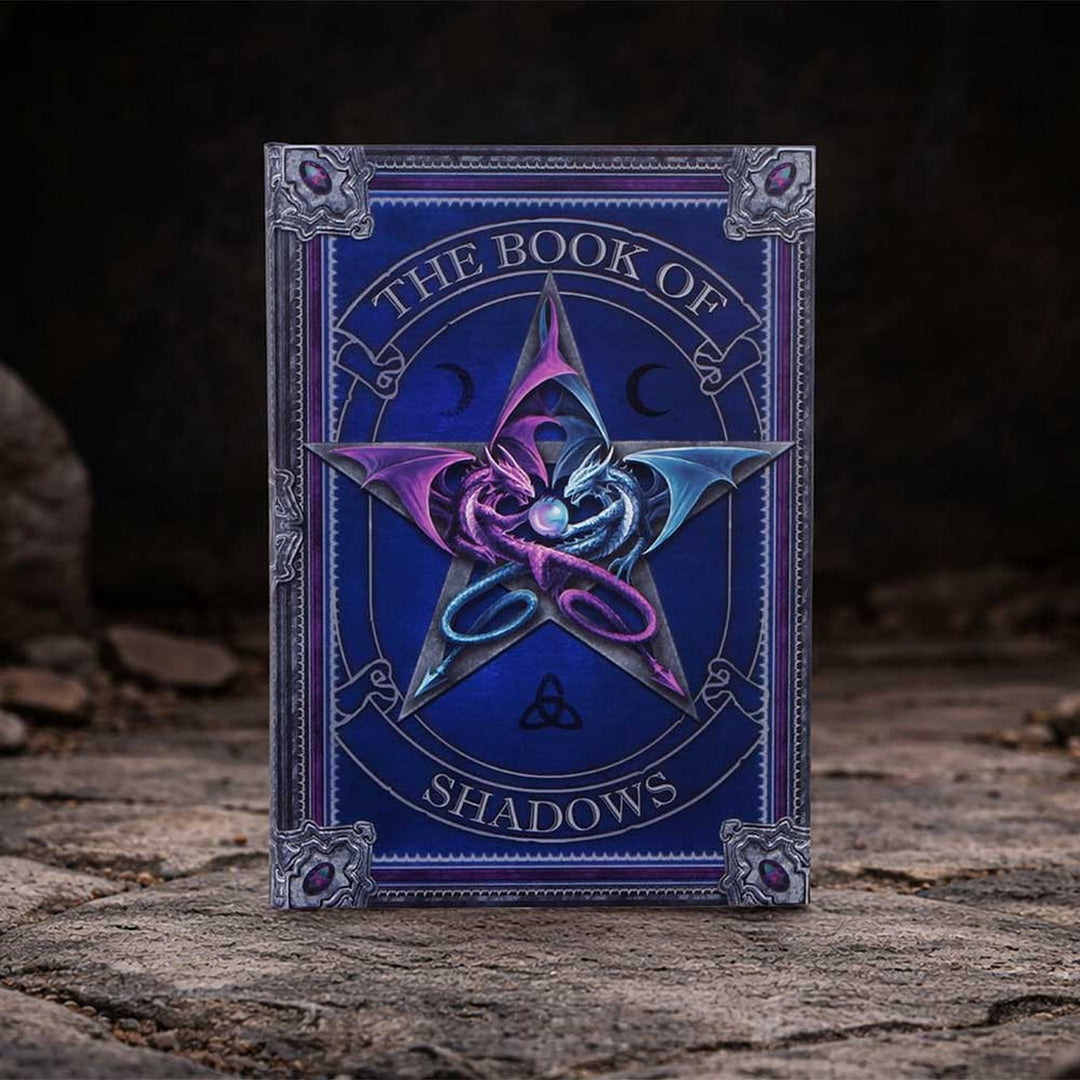 Anne Stokes The Book of Shadows Journal 17.7cm B7538B26