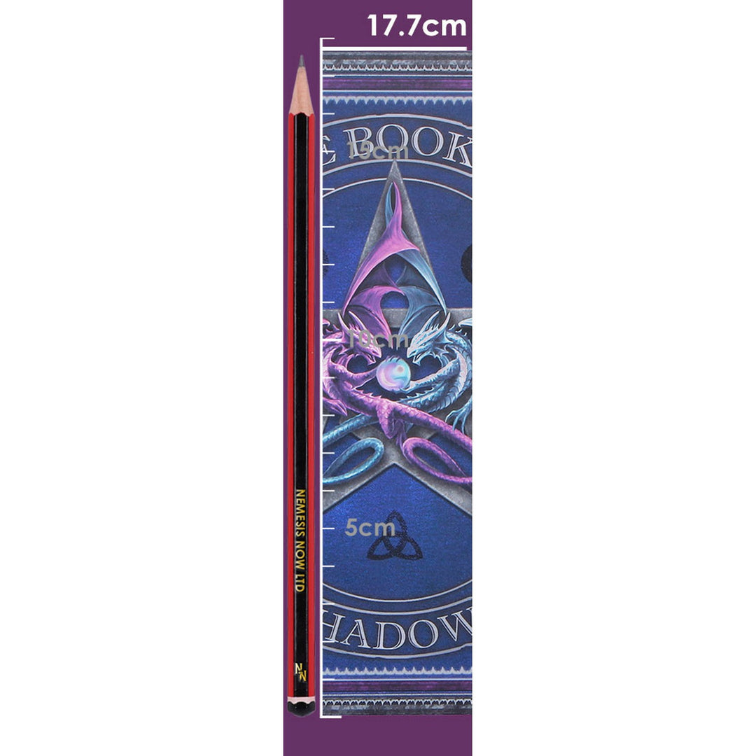 Anne Stokes The Book of Shadows Journal 17.7cm B7538B26