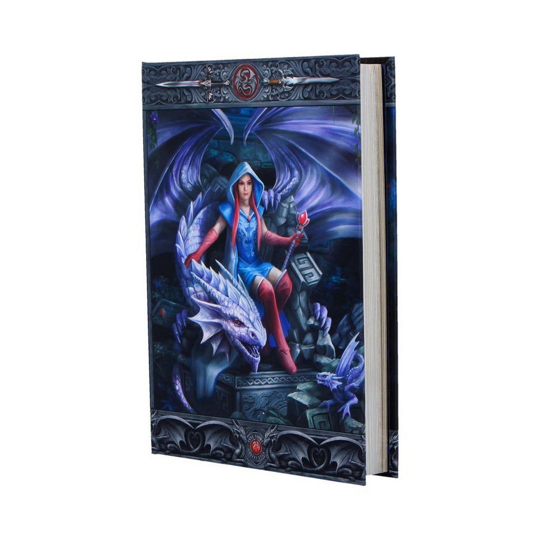 Anne Stokes The Dragon Mage Journal 17.7cm B7539B26
