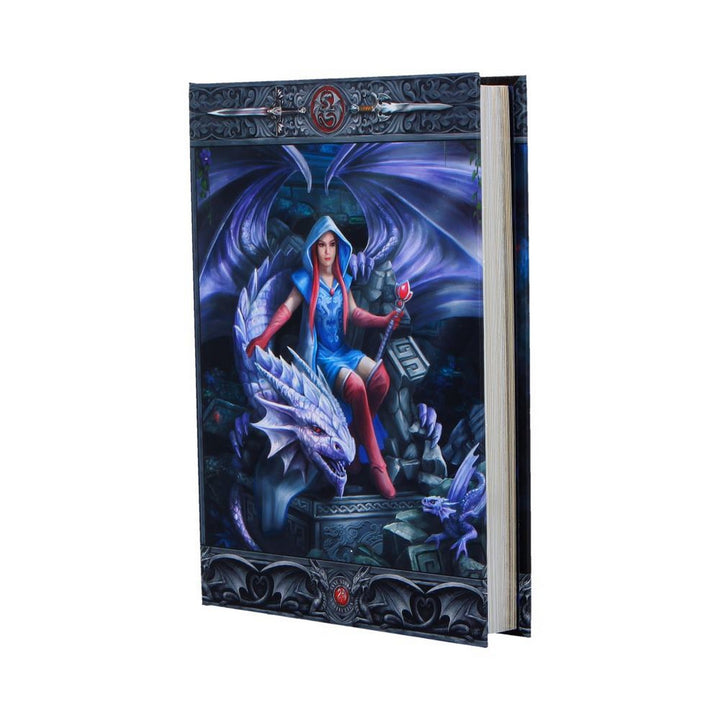 Anne Stokes The Dragon Mage Journal 17.7cm B7539B26