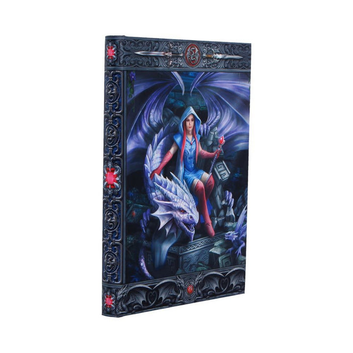Anne Stokes The Dragon Mage Journal 17.7cm B7539B26