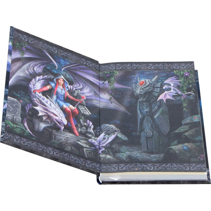 Anne Stokes The Dragon Mage Journal 17.7cm B7539B26