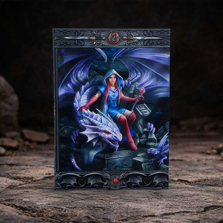 Anne Stokes The Dragon Mage Journal 17.7cm B7539B26
