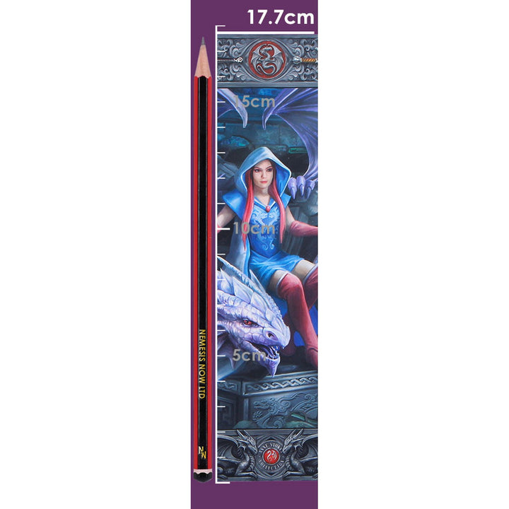 Anne Stokes The Dragon Mage Journal 17.7cm B7539B26