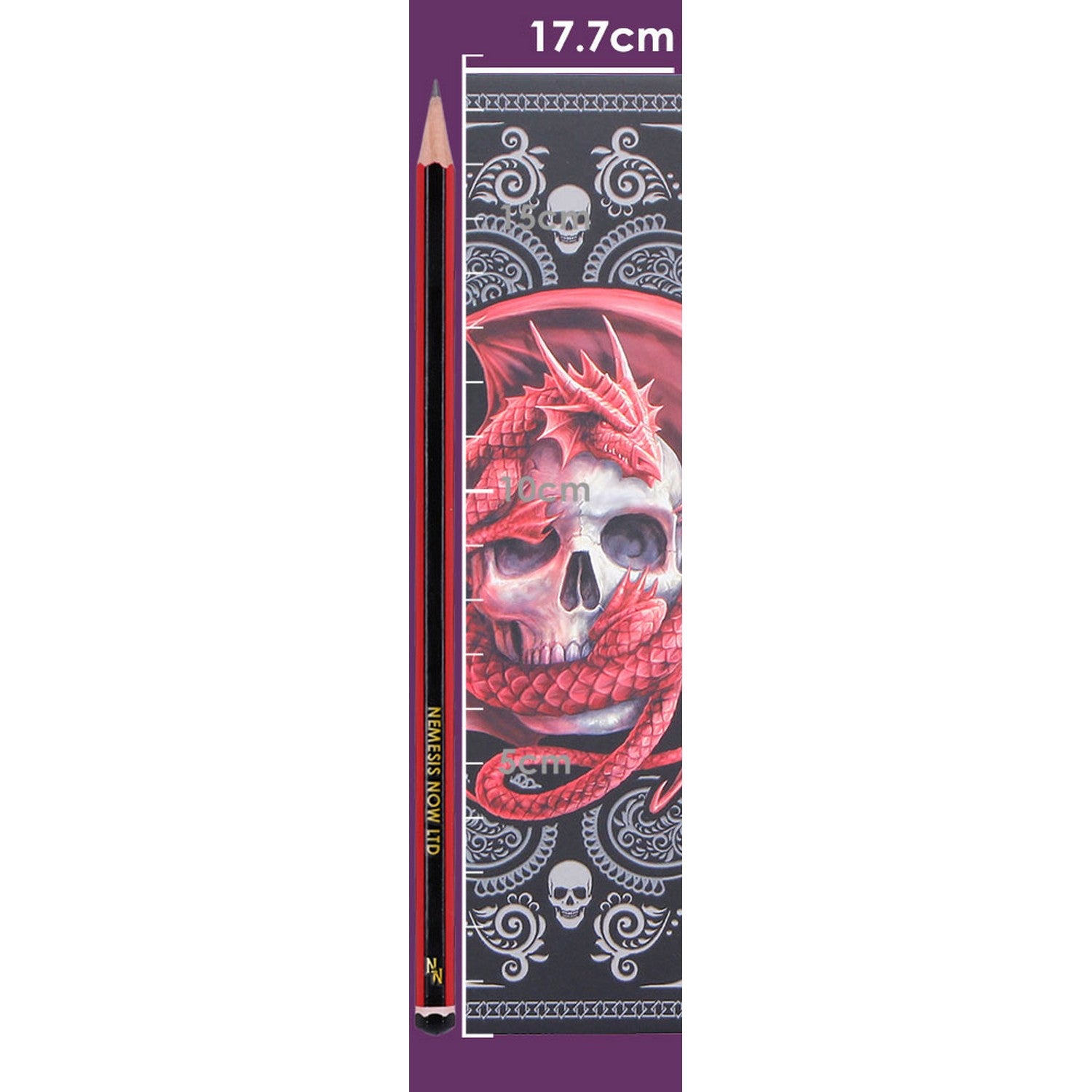 Anne Stokes Skull Embrace Journal 17.7cm B7540B26