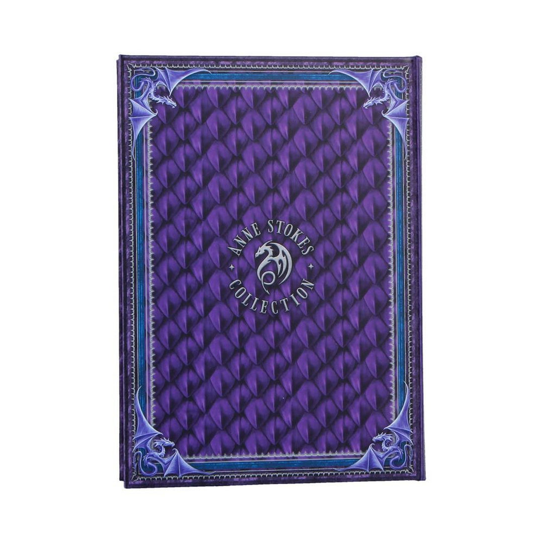 Anne Stokes Welcome Hatchling Journal 17.7cm B7541B26