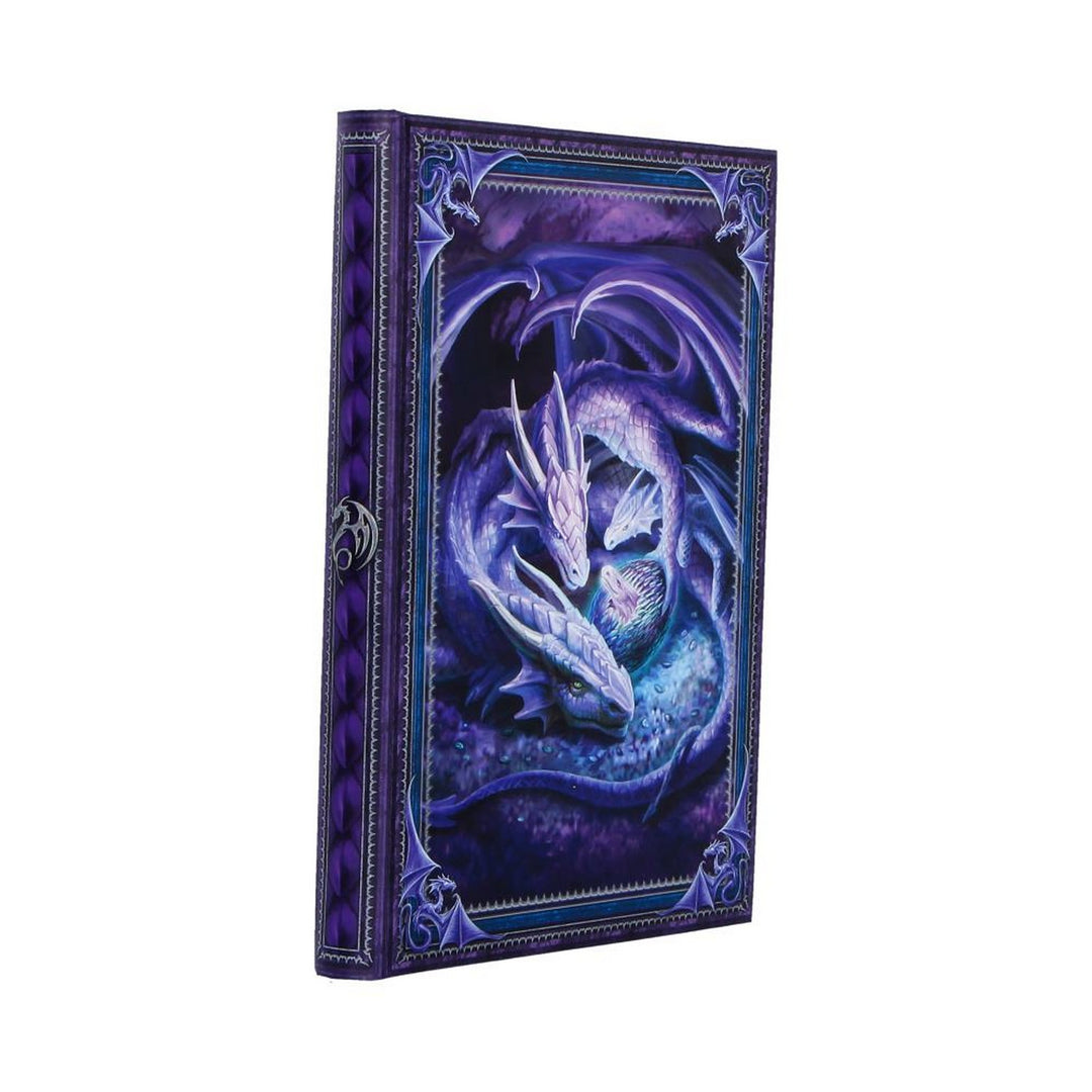 Anne Stokes Welcome Hatchling Journal 17.7cm B7541B26